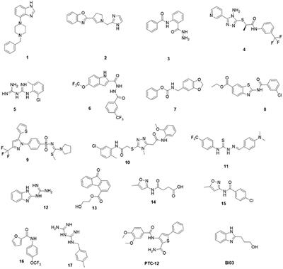 Discovery of Novel Bovine Viral Diarrhea Inhibitors Using Structure-Based Virtual Screening on the Envelope Protein E2